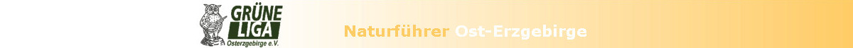 Logo Grne Liga Osterzgebirge, Uhu und Text