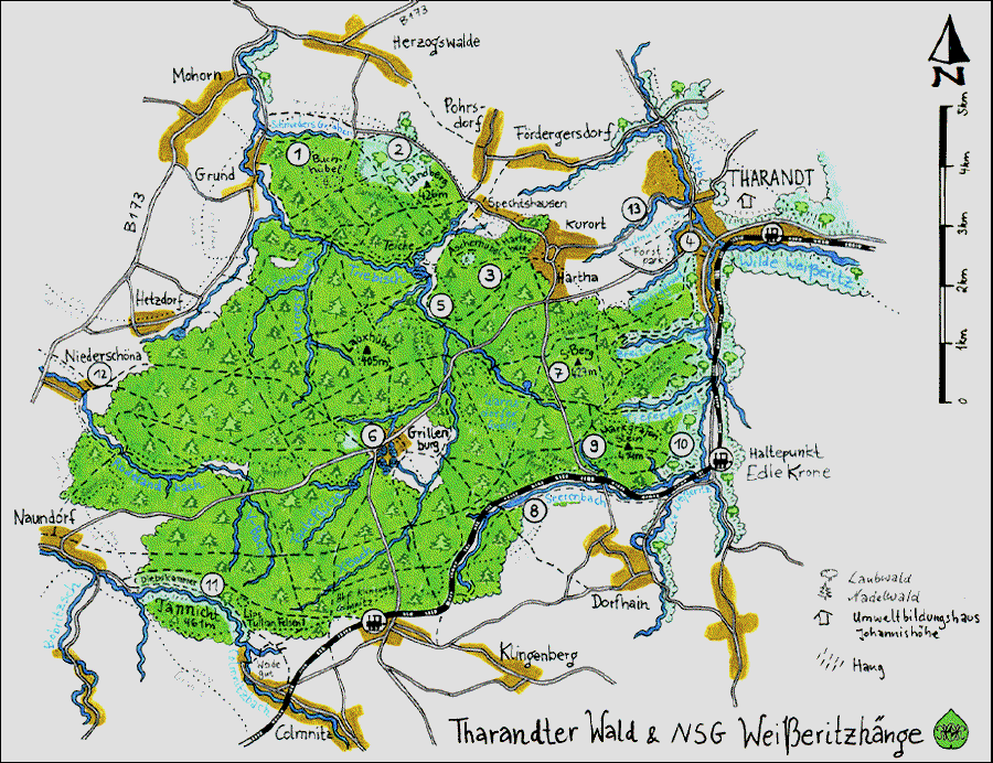 Naturführer Osterzgebirge - Tharandter Wald